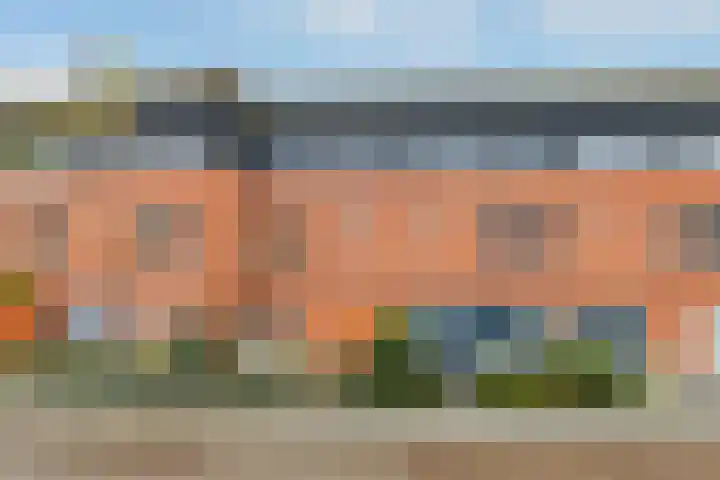 Regenboog 91 Elst thumbnail 4