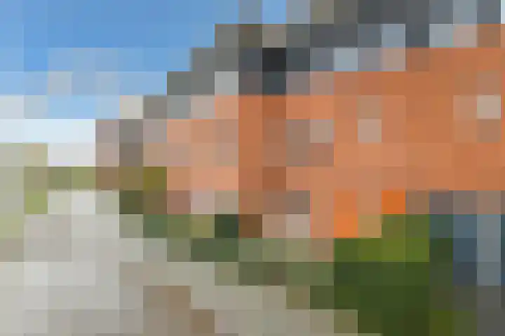 Regenboog 91 Elst thumbnail 5