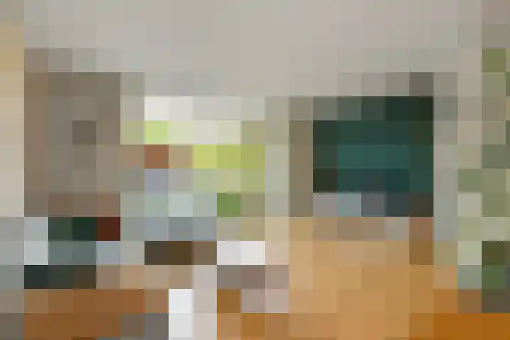 Regenboog 91 Elst thumbnail 7