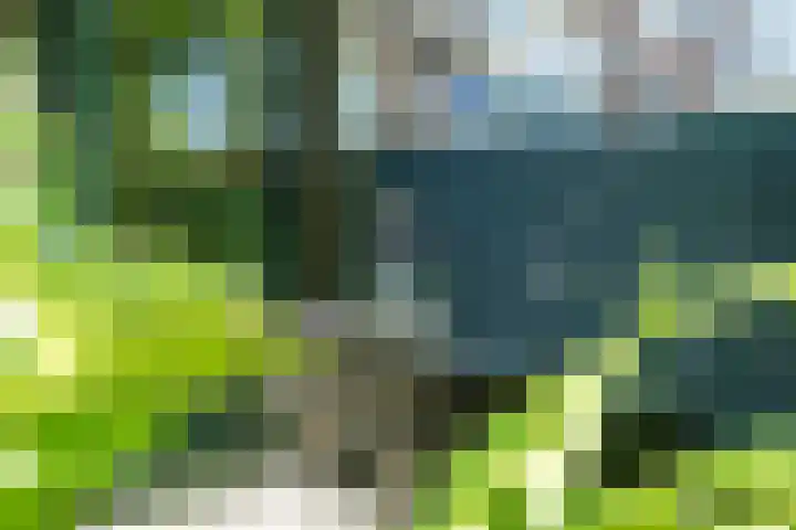 Regentesselaan 14 Haarlem thumbnail 21