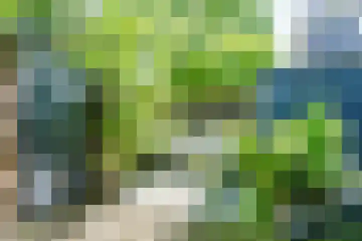 Regentesselaan 14 Haarlem thumbnail 23