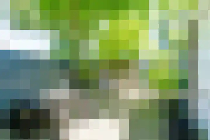 Regentesselaan 14 Haarlem thumbnail 4
