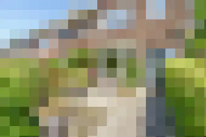 Regentesselaan 14 Haarlem thumbnail 7