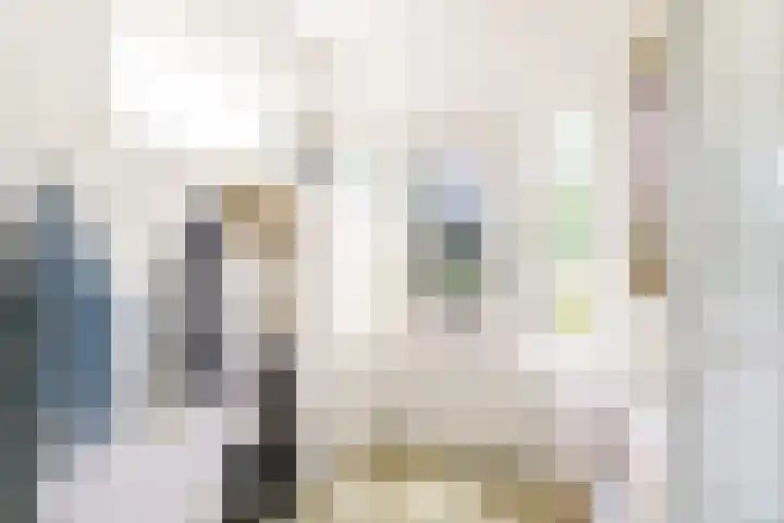 Regentesselaan 14 Haarlem thumbnail 8