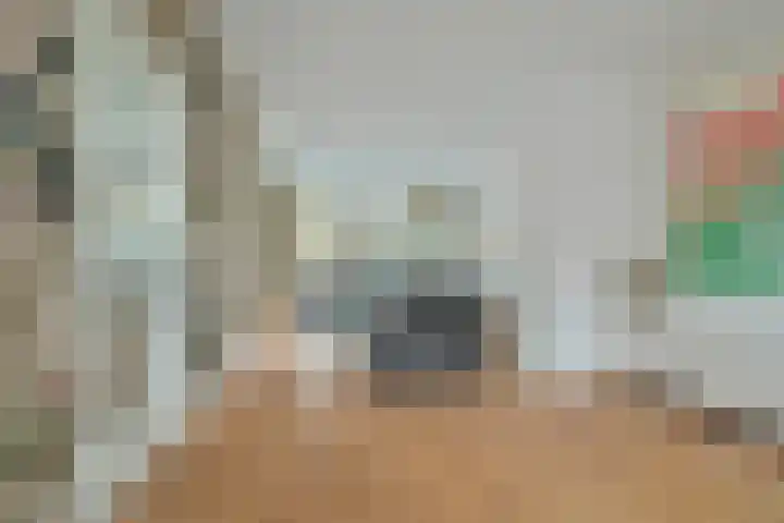 Regentesselaan 31 Breda thumbnail 20