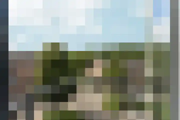 Regentesseweg 16 Almere thumbnail 9