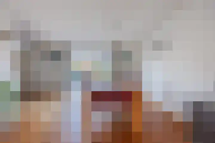 Regenwulp 13 Goirle thumbnail 10