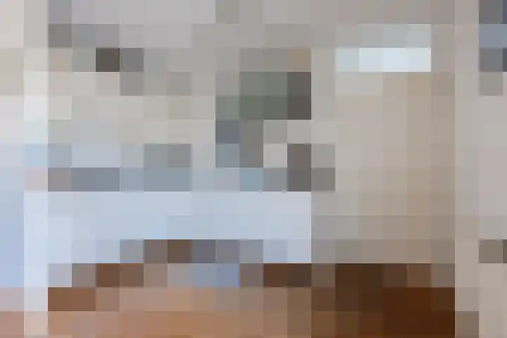 Regenwulp 13 Goirle thumbnail 13