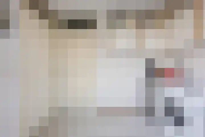 Regenwulp 13 Goirle thumbnail 16