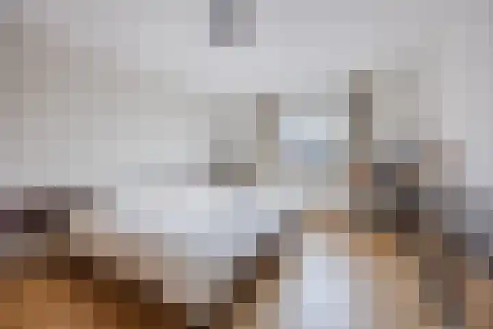 Regenwulp 13 Goirle thumbnail 21