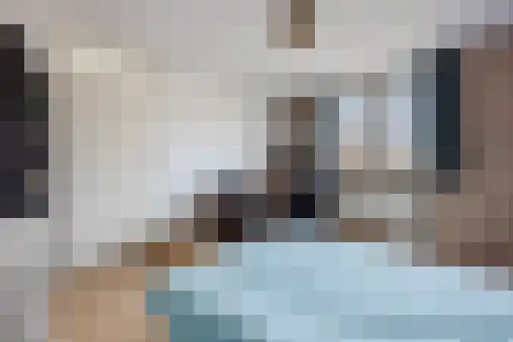 Regenwulp 13 Goirle thumbnail 25