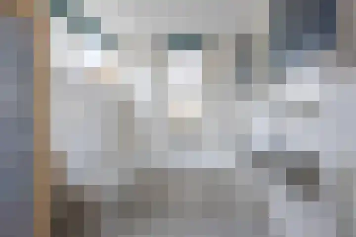 Regenwulp 13 Goirle thumbnail 27