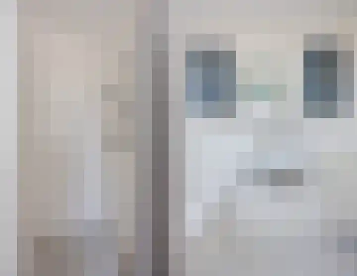 Regenwulp 13 Goirle thumbnail 30