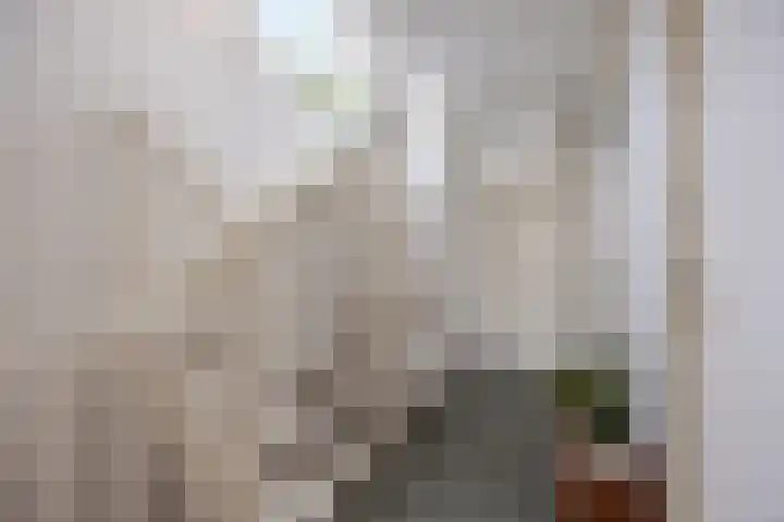 Regenwulp 13 Goirle thumbnail 31