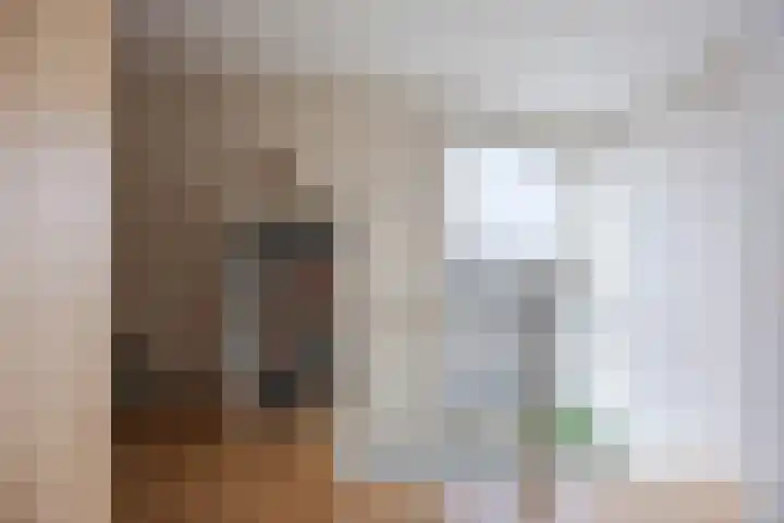 Regenwulp 13 Goirle thumbnail 32