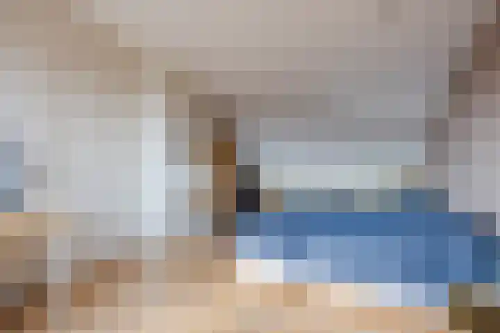 Regenwulp 13 Goirle thumbnail 36