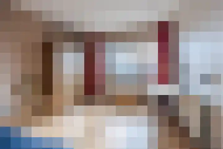 Regenwulp 13 Goirle thumbnail 38