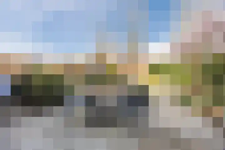 Regenwulp 13 Goirle thumbnail 42