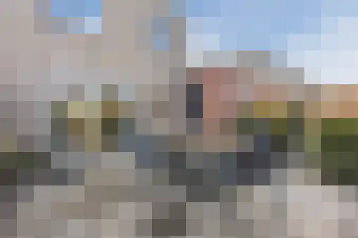 Regenwulp 13 Goirle thumbnail 43