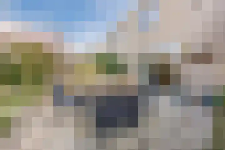 Regenwulp 13 Goirle thumbnail 44