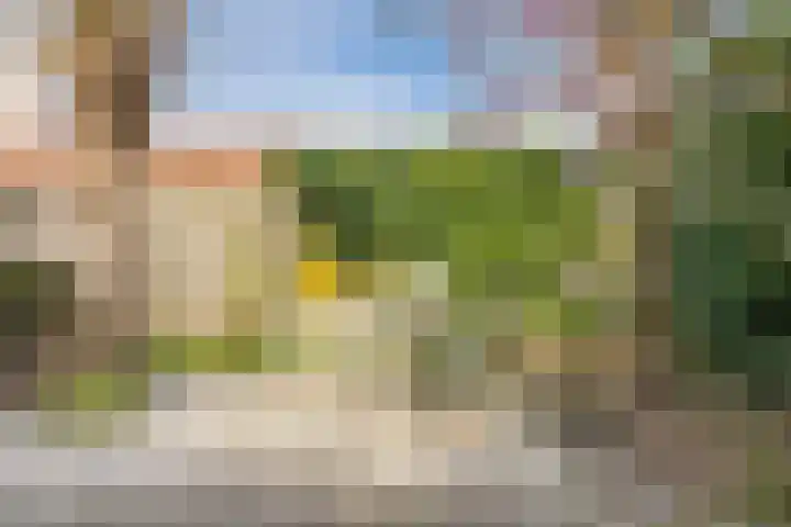 Regenwulp 13 Goirle thumbnail 45
