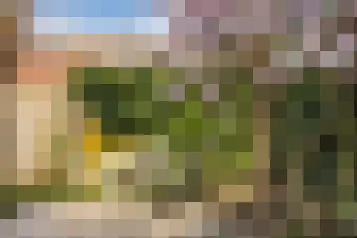 Regenwulp 13 Goirle thumbnail 46