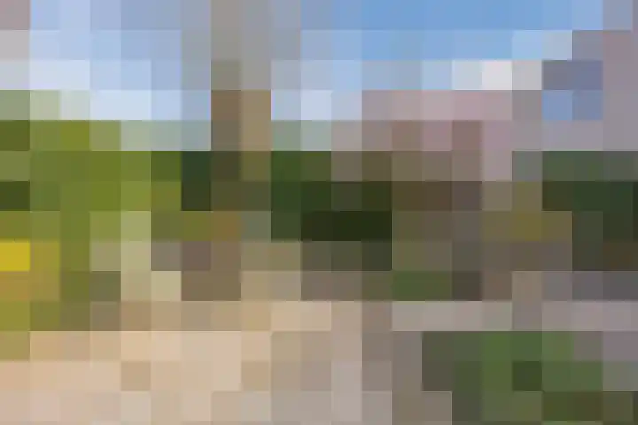 Regenwulp 13 Goirle thumbnail 47