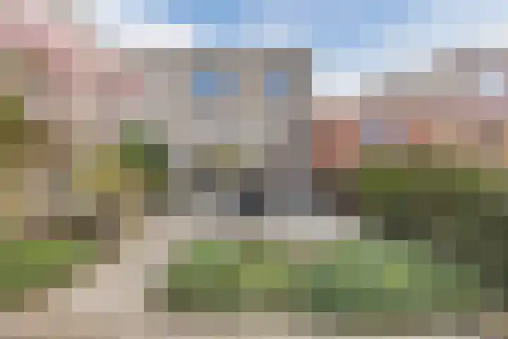 Regenwulp 13 Goirle thumbnail 48