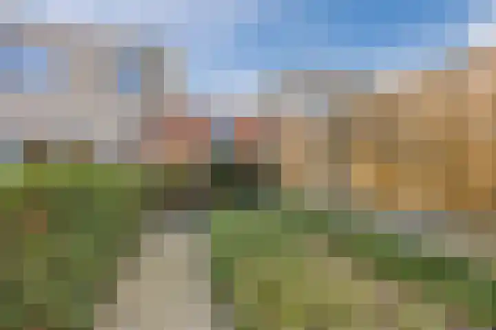 Regenwulp 13 Goirle thumbnail 49