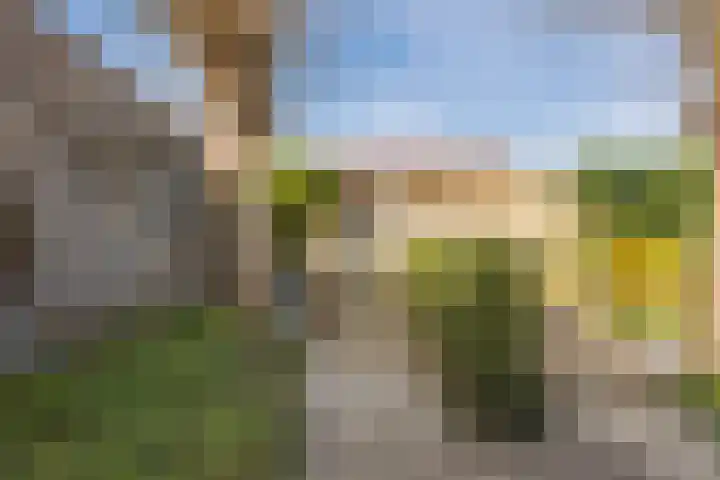 Regenwulp 13 Goirle thumbnail 50