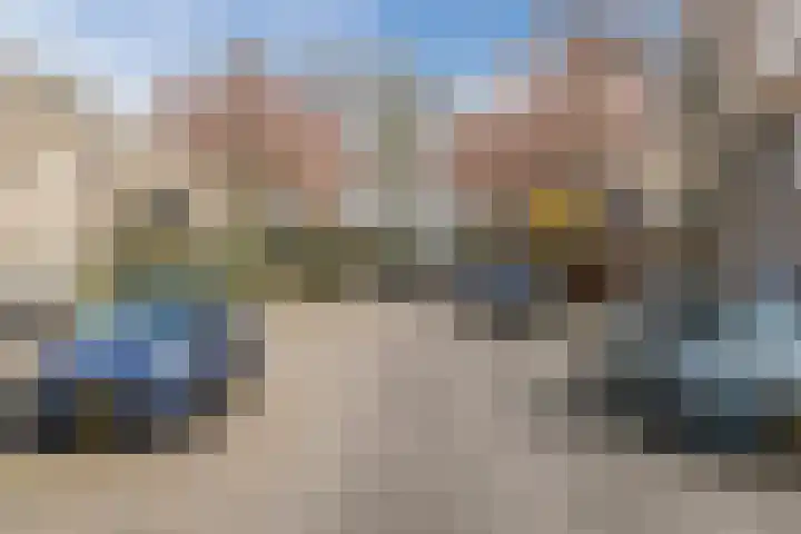 Regenwulp 13 Goirle thumbnail 51