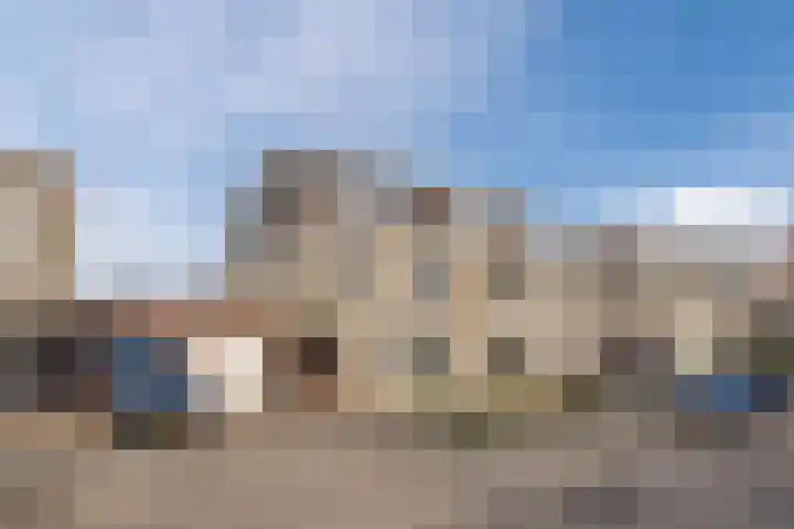 Regenwulp 13 Goirle thumbnail 56