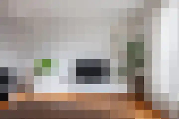 Regenwulp 13 Goirle thumbnail 6