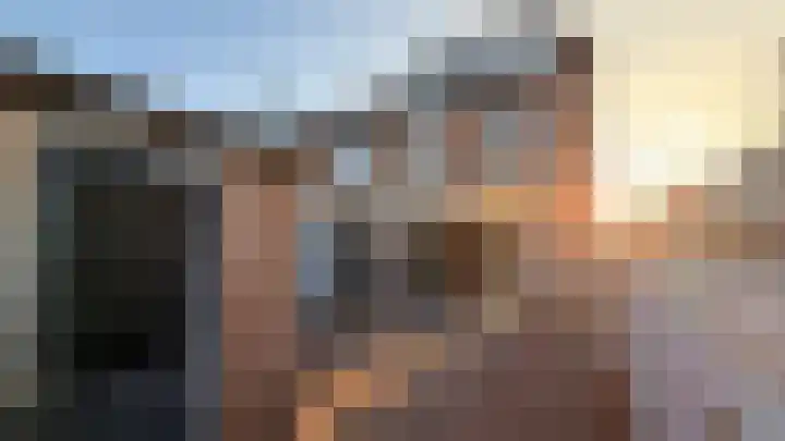 Regenwulp 14 in Muiderberg