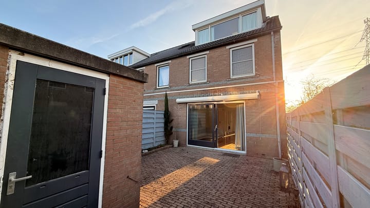 Regenwulp 14 in Muiderberg