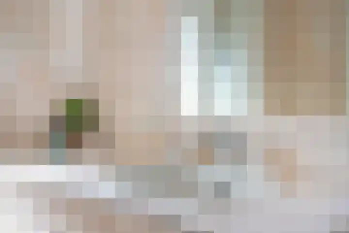 Regge 122 Tilburg thumbnail 14
