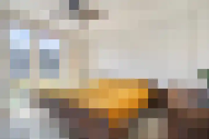 Regge 122 Tilburg thumbnail 16