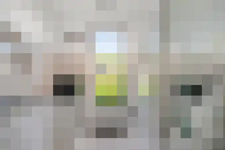 Regge 122 Tilburg thumbnail 25