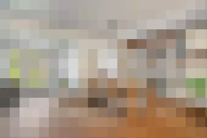 Regge 122 Tilburg thumbnail 6