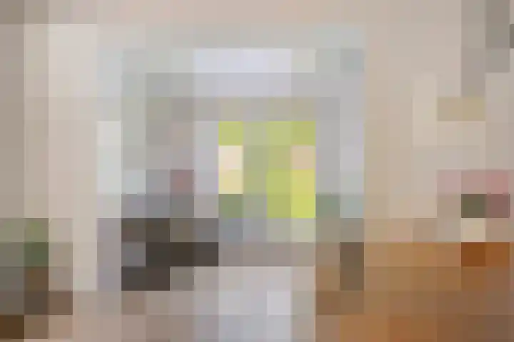 Regge 122 Tilburg thumbnail 8
