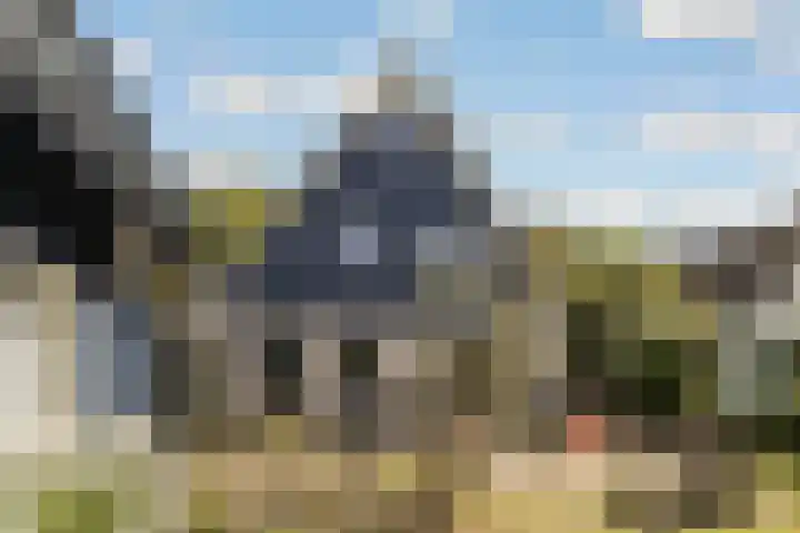 Reggeplantsoen 5 Almere thumbnail 42