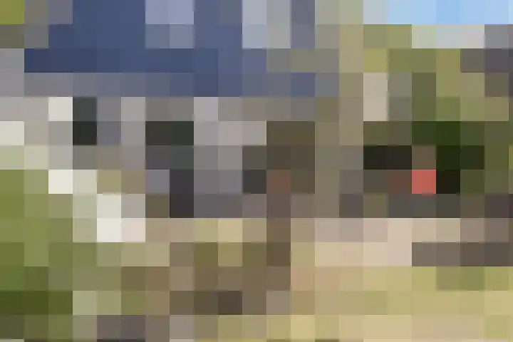 Reggeplantsoen 5 Almere thumbnail 44