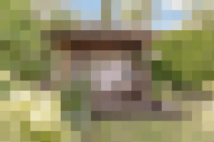Reggeplantsoen 5 Almere thumbnail 50