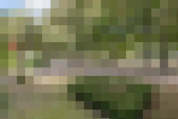 Reggeplantsoen 5 Almere thumbnail 54