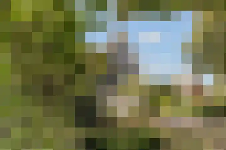 Reggeplantsoen 5 Almere thumbnail 55