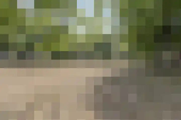 Reggeplantsoen 5 Almere thumbnail 58
