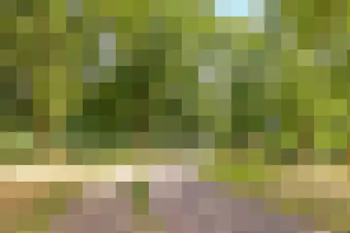Reggeplantsoen 5 Almere thumbnail 60