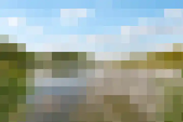 Reggeplantsoen 5 Almere thumbnail 62