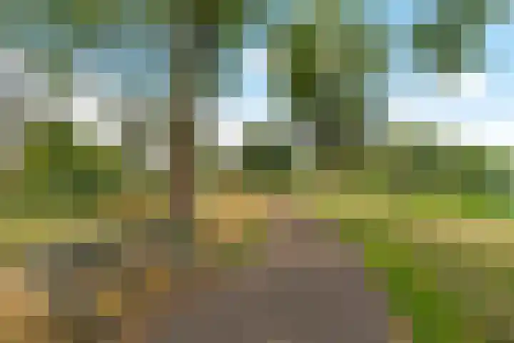 Reggeplantsoen 5 Almere thumbnail 63