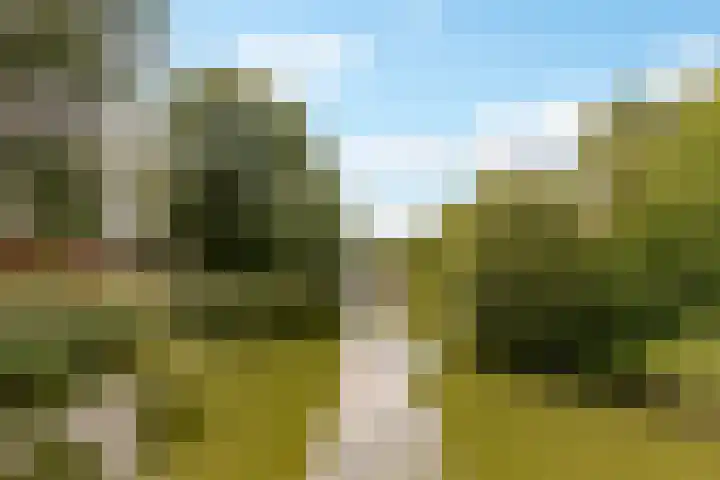Reggeplantsoen 5 Almere thumbnail 65